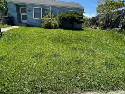 Lawn Care service in Springfield, 97477