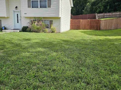 Lawn Care service in Upper Marlboro, 20772