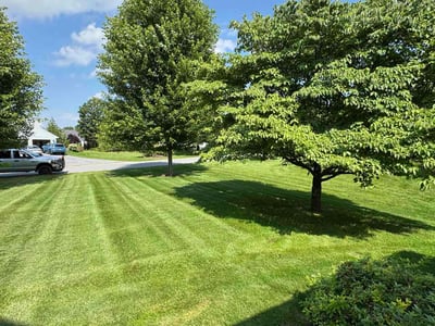 Lawn Care service in State College, 16801