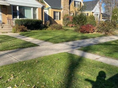 Lawn Care service in Hanover Park, 60133