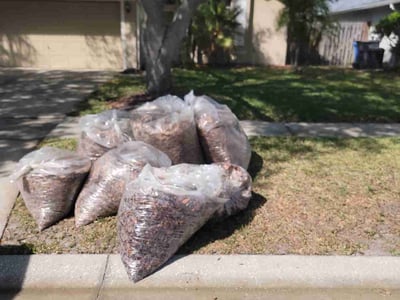 Lawn Care service in Brooksville, 34601