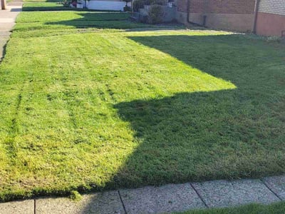 Lawn Care service in McKees Rocks, 15136