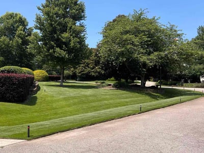Lawn Care service in Raleigh, 27601