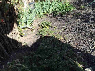 Leaf Removal service in Yukon, 73099