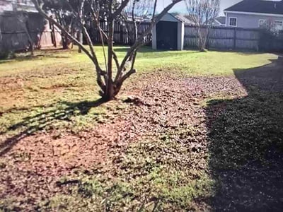 Leaf Removal service in Warner Robins, 31088