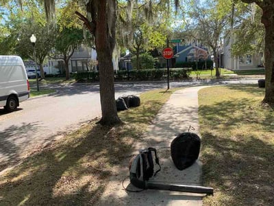 Leaf Removal service in Kissimmee, 34741