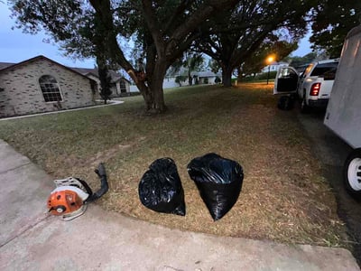 Leaf Removal service in Kissimmee, 34741