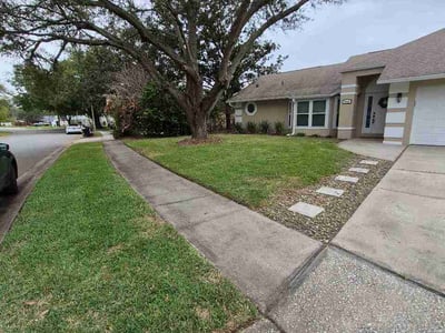 Leaf Removal service in Oviedo, 32765