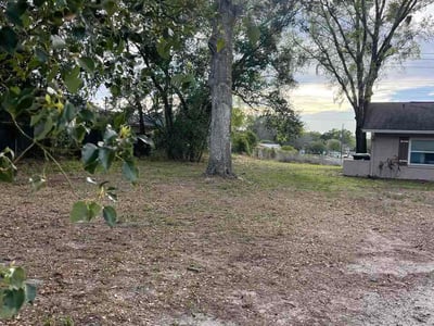 Leaf Removal service in Oviedo, 32765