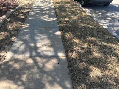 Leaf Removal service in North Richland Hills, 76180