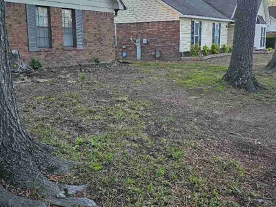 Leaf Removal service in Bartlett, 38134