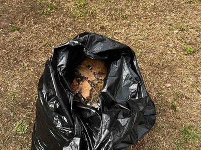 Leaf Removal service in Bartlett, 38134
