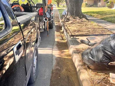 Leaf Removal service in Denton, 76201