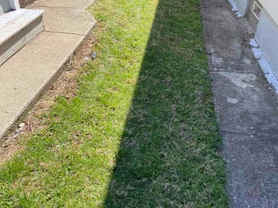 Lawn Care service in Bristow, 20136