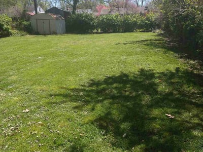 Lawn Care service in Nixa, 65714