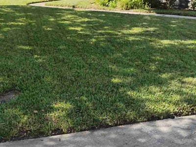 Lawn Care service in Lake Elsinore, 92530
