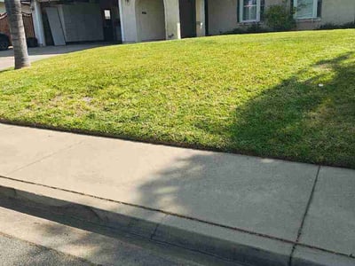 Lawn Care service in Arcadia, 91007