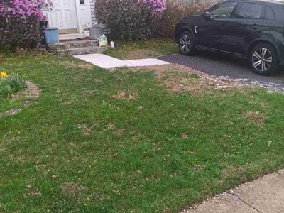 Lawn Care service in Greenbelt, 20770