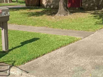 Lawn Care service in Tolland, 06084