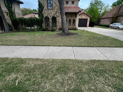 Leaf Removal service in North Richland Hills, 76180