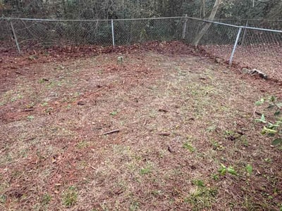 Leaf Removal service in Valdosta, 31601