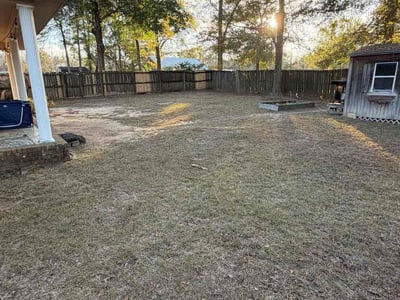 Leaf Removal service in Valdosta, 31601
