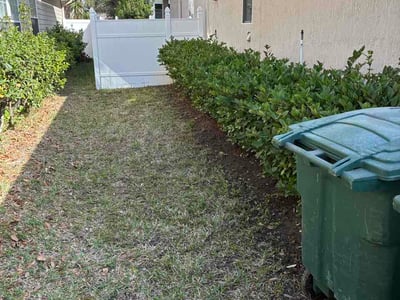 Leaf Removal service in Valdosta, 31601