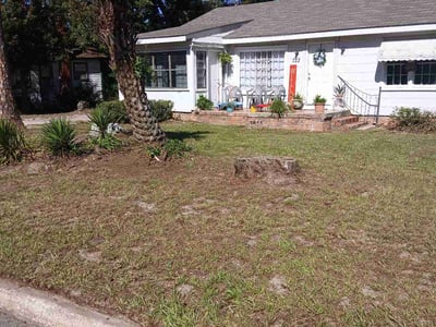 Leaf Removal service in Valdosta, 31601