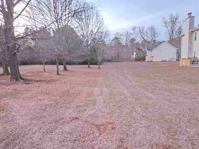 Leaf Removal service in Valdosta, 31601