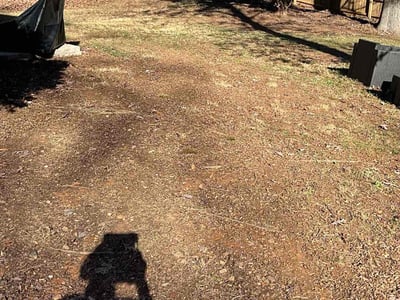 Leaf Removal service in Valdosta, 31601