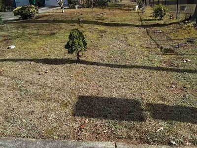 Leaf Removal service in Valdosta, 31601