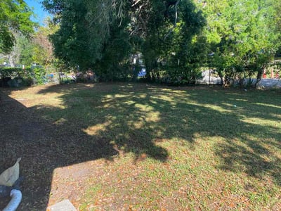 Leaf Removal service in Kissimmee, 34741