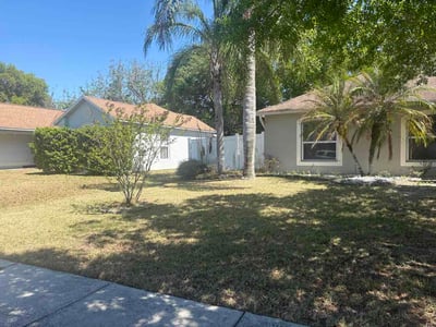 Leaf Removal service in Oviedo, 32765