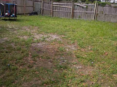 Leaf Removal service in Punta Gorda, 33950