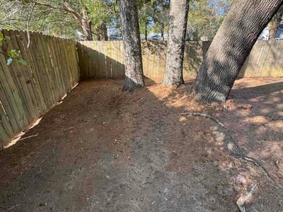 Leaf Removal service in Lafayette, 70501