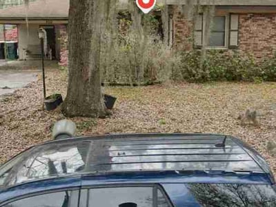 Leaf Removal service in Moncks Corner, 29461