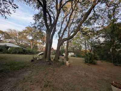 Leaf Removal service in Goose Creek, 29445