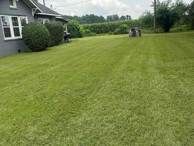 Lawn Care service in Point Pleasant Beach, 08742