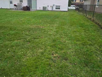 Leaf Removal service in Erie, 16507