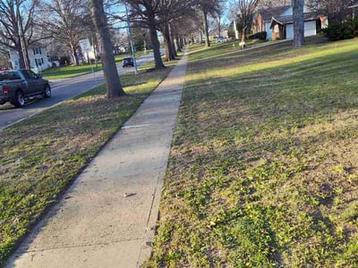 Leaf Removal service in Belton, 64012