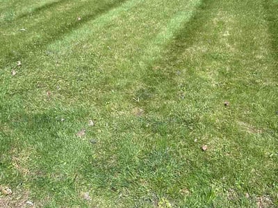 Lawn Care service in State College, 16801