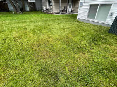 Lawn Care service in Hudson, 54016