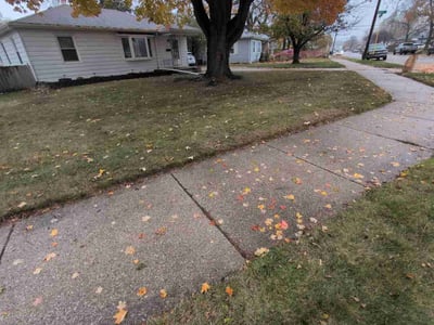 Leaf Removal service in Racine, 53403