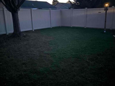Leaf Removal service in Racine, 53403