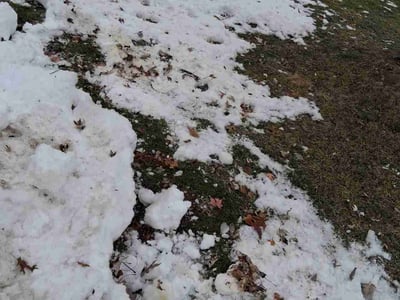 Leaf Removal service in Racine, 53403