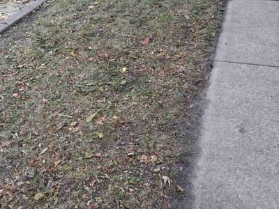 Leaf Removal service in Racine, 53403