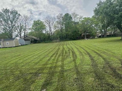 Lawn Care service in Point Pleasant Beach, 08742