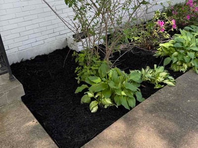 Leaf Removal service in Olive Branch, 38654