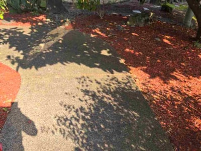 Leaf Removal service in Beaverton, 97005