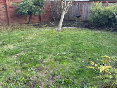 Leaf Removal service in Beaverton, 97005